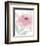 Blush Peony II-Beverly Dyer-Framed Art Print