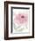 Blush Peony II-Beverly Dyer-Framed Art Print