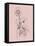 Blush Pink Flower Illustration III-Jasmine Woods-Framed Stretched Canvas