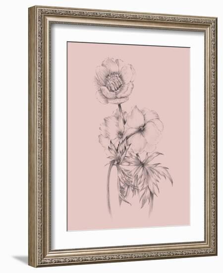 Blush Pink Flower Illustration III-Jasmine Woods-Framed Art Print