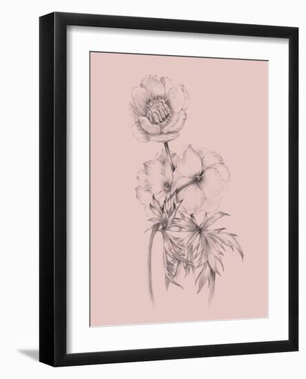 Blush Pink Flower Illustration III-Jasmine Woods-Framed Art Print