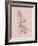 Blush Pink Flower Illustration III-Jasmine Woods-Framed Art Print