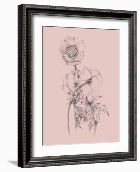 Blush Pink Flower Illustration III-Jasmine Woods-Framed Art Print