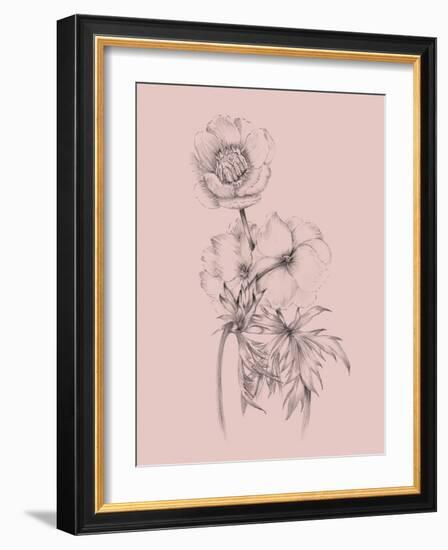 Blush Pink Flower Illustration III-Jasmine Woods-Framed Art Print