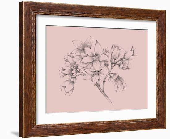 Blush Pink Flower Illustration-Jasmine Woods-Framed Art Print