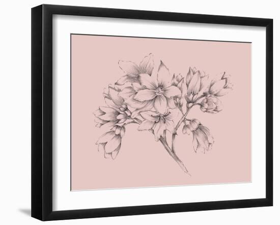 Blush Pink Flower Illustration-Jasmine Woods-Framed Art Print