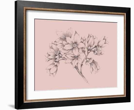 Blush Pink Flower Illustration-Jasmine Woods-Framed Art Print