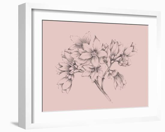 Blush Pink Flower Illustration-Jasmine Woods-Framed Art Print