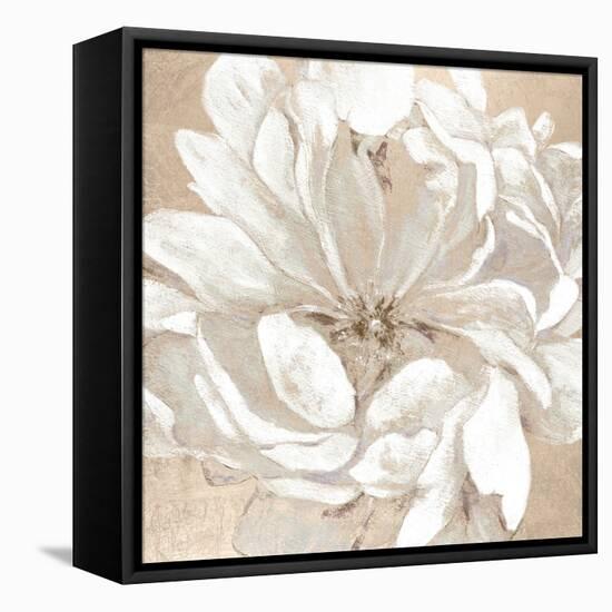 Blushing Bloom I-Carol Robinson-Framed Stretched Canvas