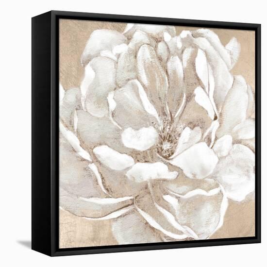 Blushing Bloom II-Carol Robinson-Framed Stretched Canvas