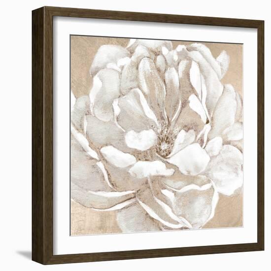 Blushing Bloom II-Carol Robinson-Framed Art Print