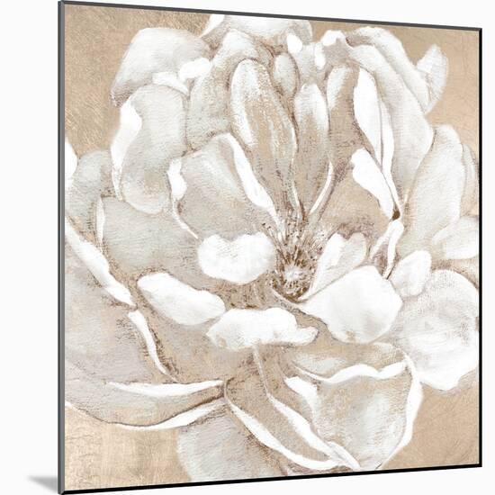 Blushing Bloom II-Carol Robinson-Mounted Art Print