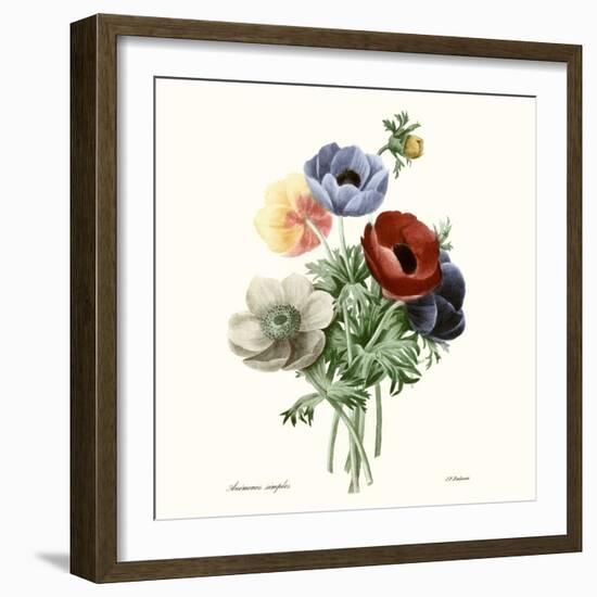 Blushing Bouquet I-Pierre Redoute-Framed Art Print