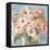 Blushing Bouquet-Danhui Nai-Framed Stretched Canvas