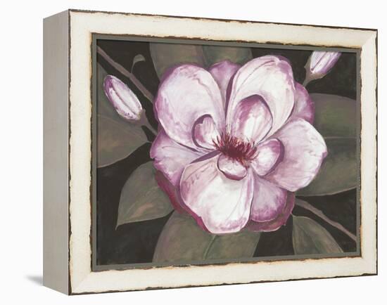 Blushing Magnolia-Filippo Ioco-Framed Stretched Canvas