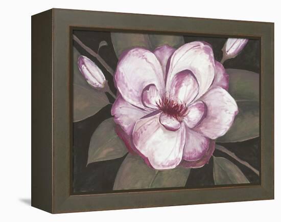 Blushing Magnolia-Filippo Ioco-Framed Stretched Canvas