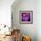 Blushing Nebula-null-Framed Art Print displayed on a wall