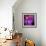 Blushing Nebula-null-Framed Premium Giclee Print displayed on a wall