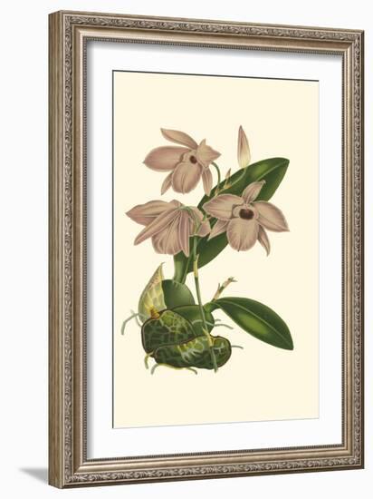 Blushing Orchids III-Van Houtt-Framed Art Print