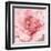 Blushing Peony-Danhui Nai-Framed Art Print