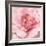 Blushing Peony-Danhui Nai-Framed Art Print