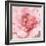 Blushing Peony-Danhui Nai-Framed Art Print