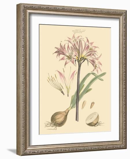 Blushing Pink Florals II-John Miller (Johann Sebastien Mueller)-Framed Art Print