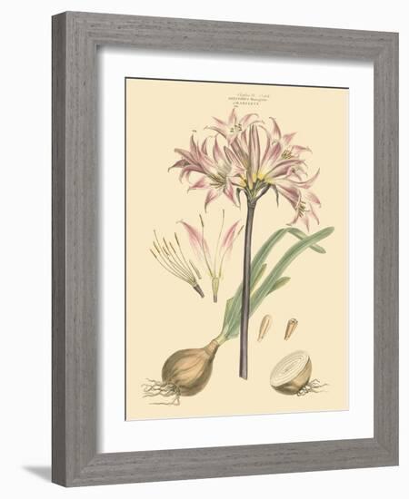 Blushing Pink Florals II-John Miller (Johann Sebastien Mueller)-Framed Art Print