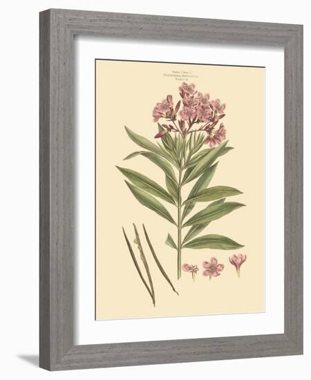 Blushing Pink Florals III-John Miller (Johann Sebastien Mueller)-Framed Art Print