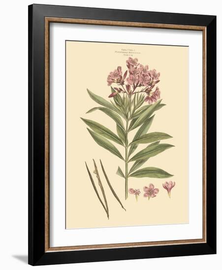 Blushing Pink Florals III-John Miller (Johann Sebastien Mueller)-Framed Art Print