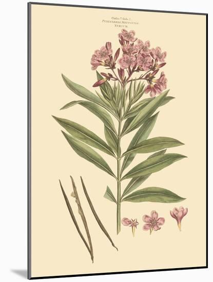 Blushing Pink Florals III-John Miller (Johann Sebastien Mueller)-Mounted Art Print