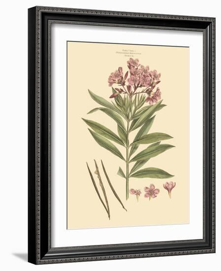 Blushing Pink Florals III-John Miller (Johann Sebastien Mueller)-Framed Art Print