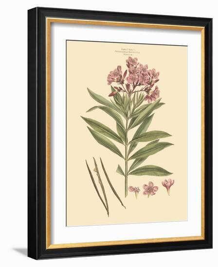 Blushing Pink Florals III-John Miller (Johann Sebastien Mueller)-Framed Art Print