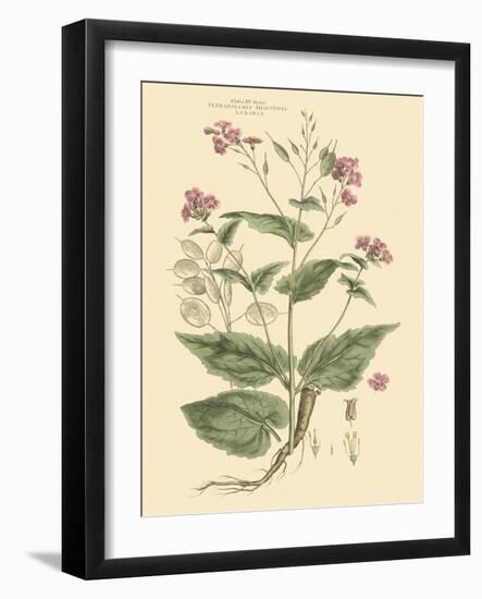 Blushing Pink Florals VII-John Miller (Johann Sebastien Mueller)-Framed Art Print