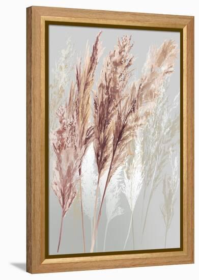 Blushing Pomp Grass I-Asia Jensen-Framed Stretched Canvas