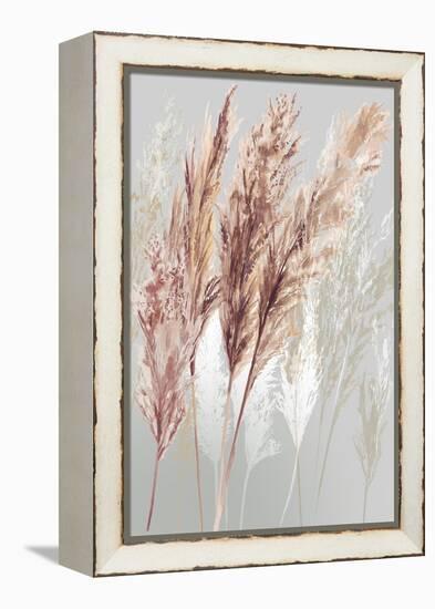 Blushing Pomp Grass I-Asia Jensen-Framed Stretched Canvas