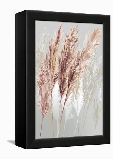 Blushing Pomp Grass I-Asia Jensen-Framed Stretched Canvas