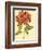 Blushing Rhodos II-Vision Studio-Framed Premium Giclee Print