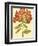 Blushing Rhodos IV-Vision Studio-Framed Premium Giclee Print