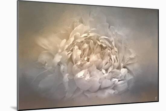 Blushing Silver and Gold Peony-Jai Johnson-Mounted Giclee Print