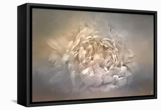 Blushing Silver and Gold Peony-Jai Johnson-Framed Premier Image Canvas