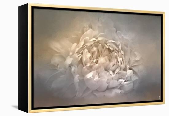 Blushing Silver and Gold Peony-Jai Johnson-Framed Premier Image Canvas