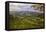 Blustery Afternoon Landscape, Mount Diablo-Vincent James-Framed Premier Image Canvas