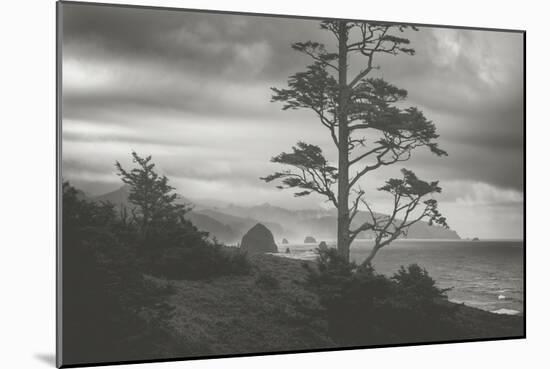 Blustery Morning View From Ecola Point, Oregon Coast-Vincent James-Mounted Photographic Print