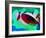 Bmw Racing Detail-NaxArt-Framed Art Print