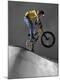 Premium Photographic Print