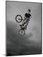 Photographic Print