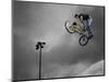 BMX Biker Performing Tricks-null-Mounted Photographic Print