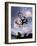 Bmx Cyclist Flys over the Vert-null-Framed Photographic Print