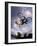 Bmx Cyclist Flys over the Vert-null-Framed Photographic Print